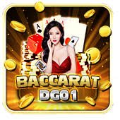 335 bet app