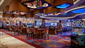 335 bet app