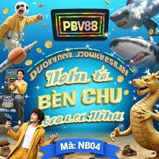 335 bet app