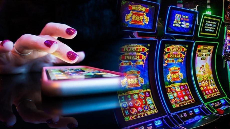 335 bet app